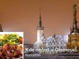 Bič i výzva pro olomoucké restaurace, to je facebooková stránka "Kde ne/jíst v Olomouci"