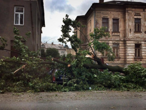 Hasiči pokračují v pekelném víkendu – kvůli bouřce museli k desítkám případů popadaných stromů