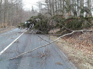 FOTO: Silný vítr lámal stromy a zaměstnal hasiče