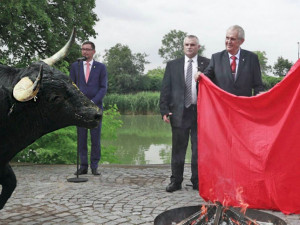 FOTO: Internetové vtípky na prezidentovo veřejné pálení trenýrek