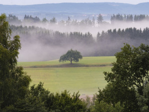 POČASÍ NA PÁTEK: Ráno bude mlhavé, místy zaprší