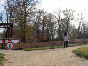 Dřevomorka zničila mosty v parku. Město zaplatí za opravu dvojnásobek