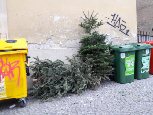 Žhář zapálil vyhozené vánoční stromky. Na kontejneru vznikla škoda za deset tisíc korun