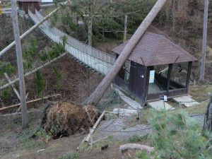 AKTUÁLNĚ: Olomoucká zoologická zahrada zůstává kvůli kalamitě zavřená