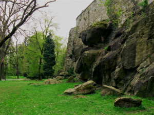 Vandal polámal čtyři buky lesní v Bezručových sadech v Olomouci