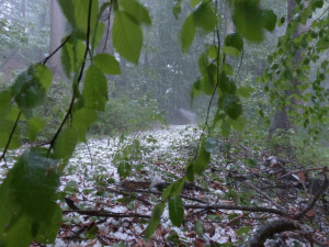 Meteorologové varují před silnými bouřkami, kroupami a nárazovým větrem