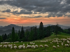 POČASÍ NA ÚTERÝ: Dnes bude zataženo, zaprší a povane mírný vítr