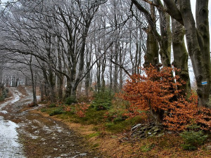 POČASÍ NA SOBOTU: Sobota bude deštivá, ve vyšších polohách čekáme i sníh