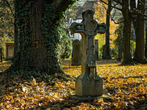 Za návštěvu hřbitova zaplatili šedesát tisíc. Zloděj rozbil a vykradl tři auta