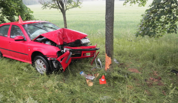 Řidiči do cesty vběhla srna. Na mokré silnici dostal smyk a čelně narazil do stromu