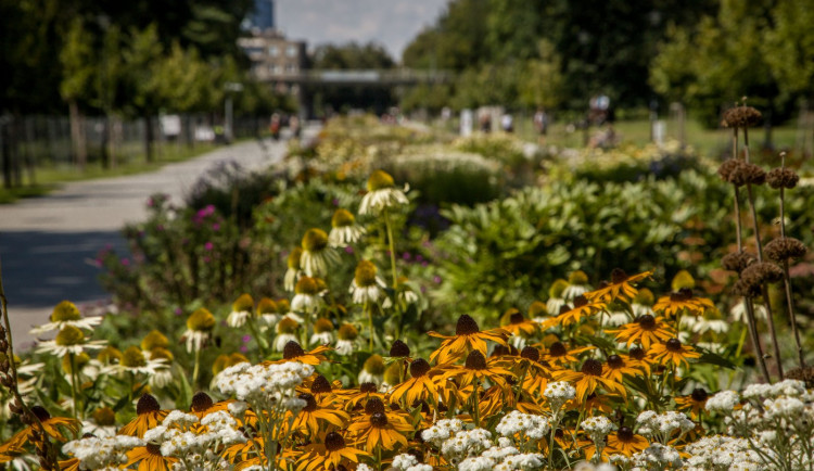 Letní Flora Olomouc láká návštěvníky na Zahradu za zdí