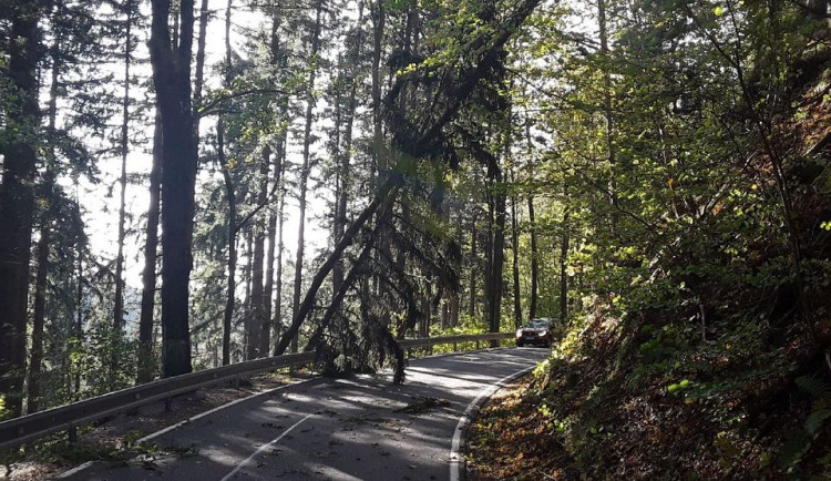 FOTO: Hasiči likvidovali následky silného větru na Jesenicku