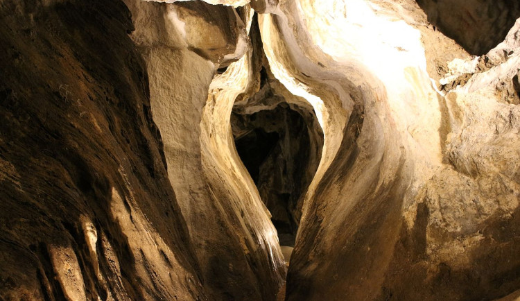 Jeskyně na Špičáku se rozezní zvuky netopýrů