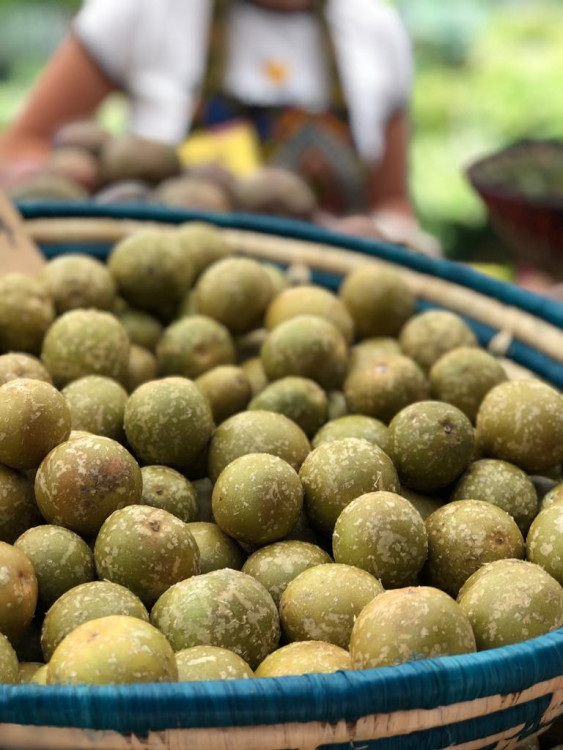 Jackfruit, baby banány nebo drink z cukrové křtiny. Olomoučané v neděli ochutnávali Afriku