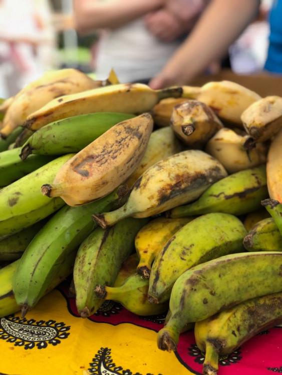 Jackfruit, baby banány nebo drink z cukrové křtiny. Olomoučané v neděli ochutnávali Afriku