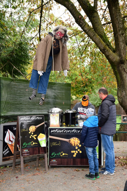 Večer s duchy v Zoo Olomouc