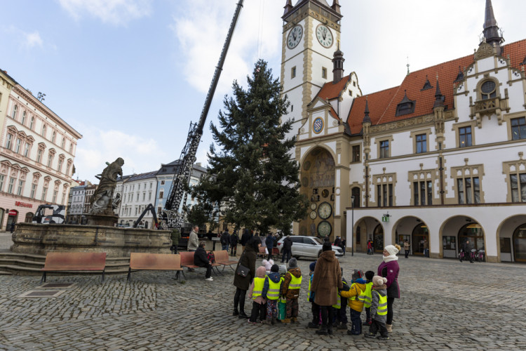 Zase za rok. Vánoční strom už v centru Olomouce nestojí, kmen zpracují řezbáři