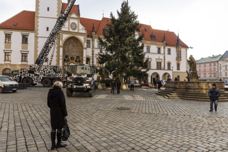 Zase za rok. Vánoční strom už v centru Olomouce nestojí, kmen zpracují řezbáři