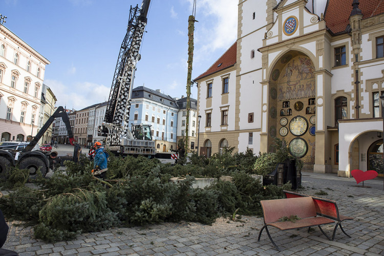 Zase za rok. Vánoční strom už v centru Olomouce nestojí, kmen zpracují řezbáři