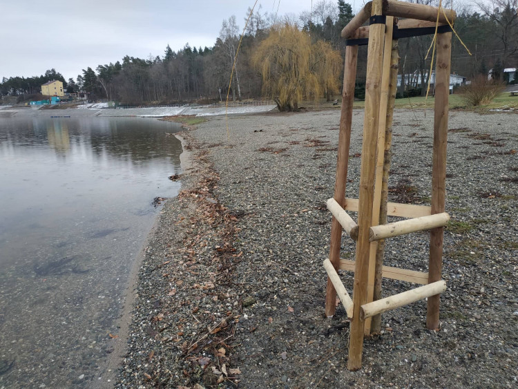 FOTOGALERIE: Nové vrby na Plumlovské přehradě