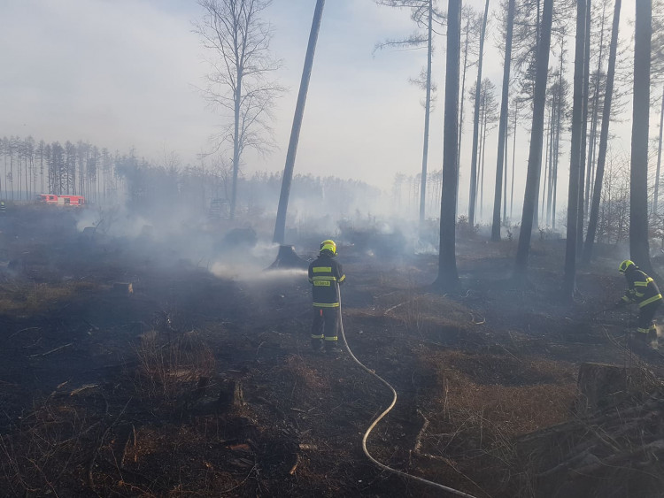 FOTOGALERIE: Rozsáhlý požár lesa u Kozlova na Olomoucku