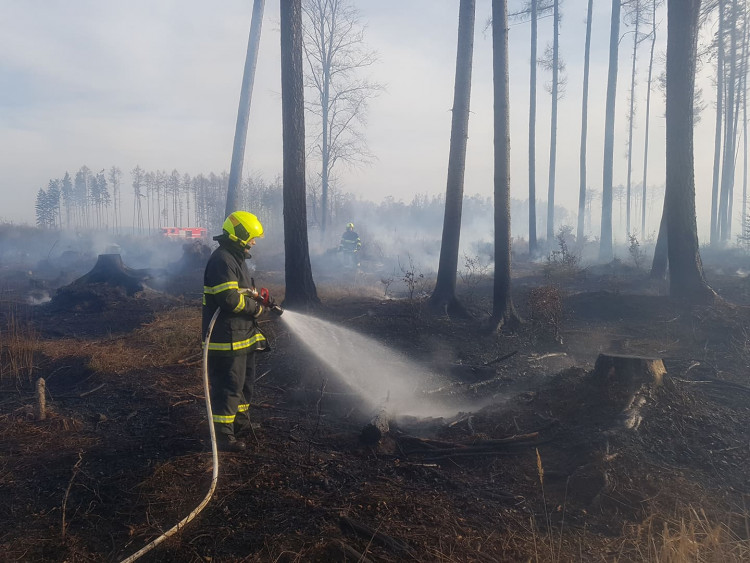 FOTOGALERIE: Rozsáhlý požár lesa u Kozlova na Olomoucku