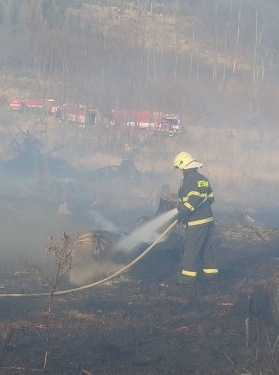 FOTOGALERIE: Rozsáhlý požár lesa u Kozlova na Olomoucku