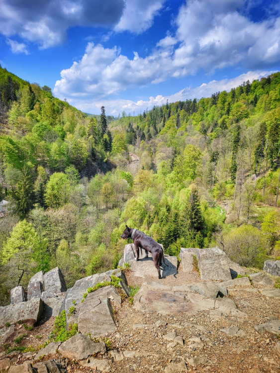 FOTOGALERIE: Malý Rabštýn