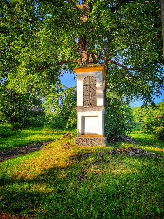 FOTOGALERIE: Rozhledna Hraniční vrch