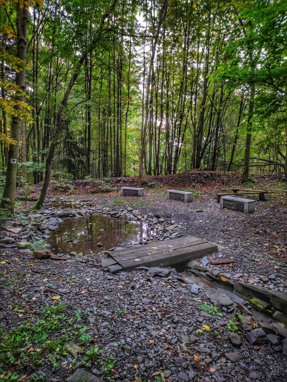 FOTOGALERIE: Několik zajímavých míst kousek od sebe u Oder